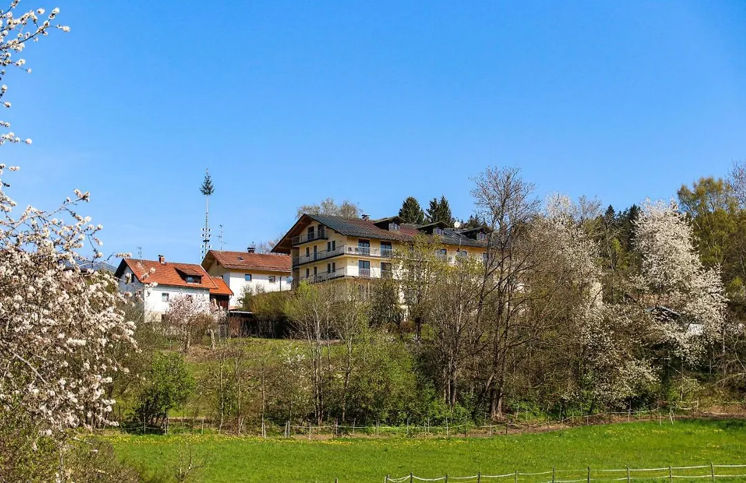 Das Palmberger-1